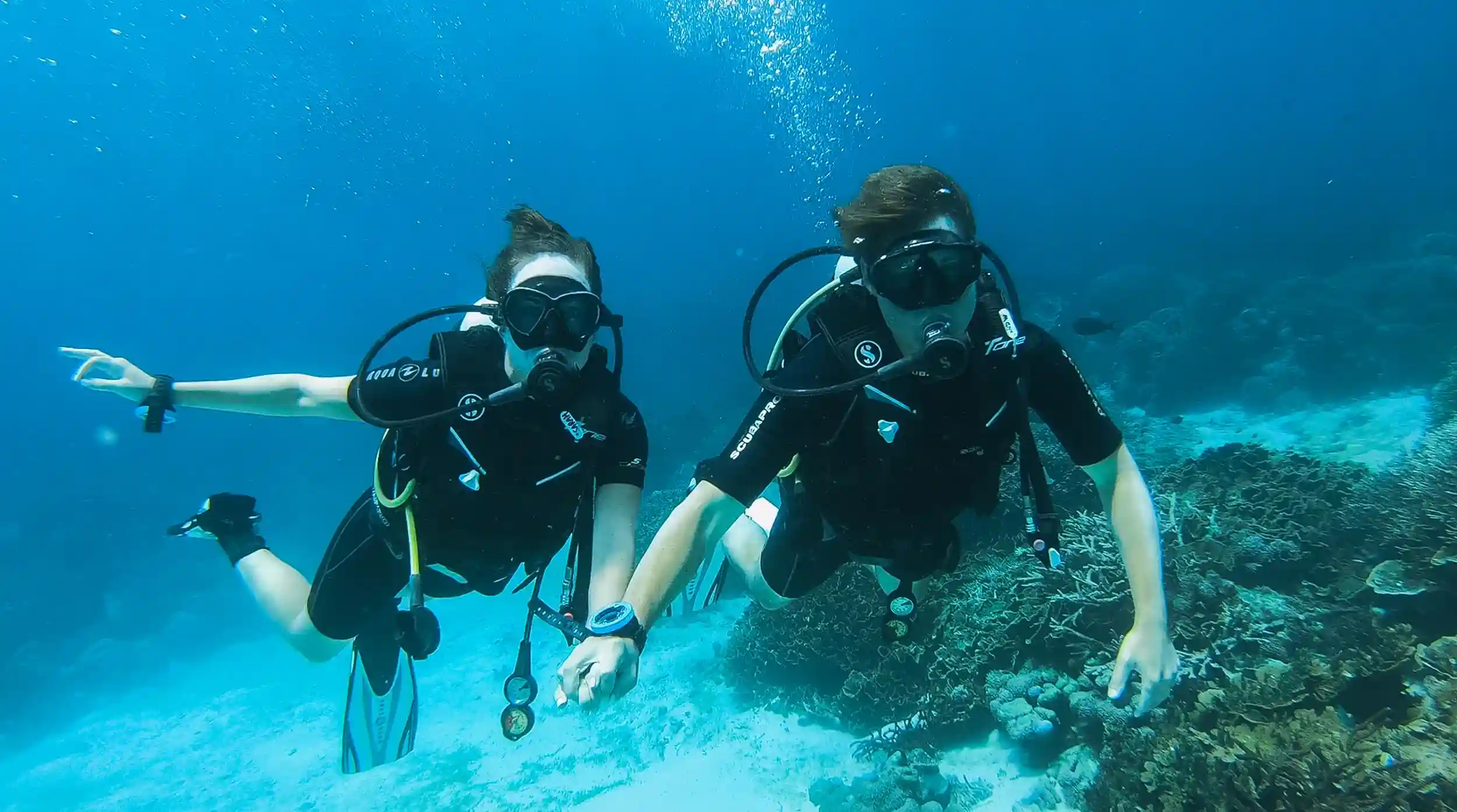 World-Class Dive Sites | Komodo Island Liveaboard