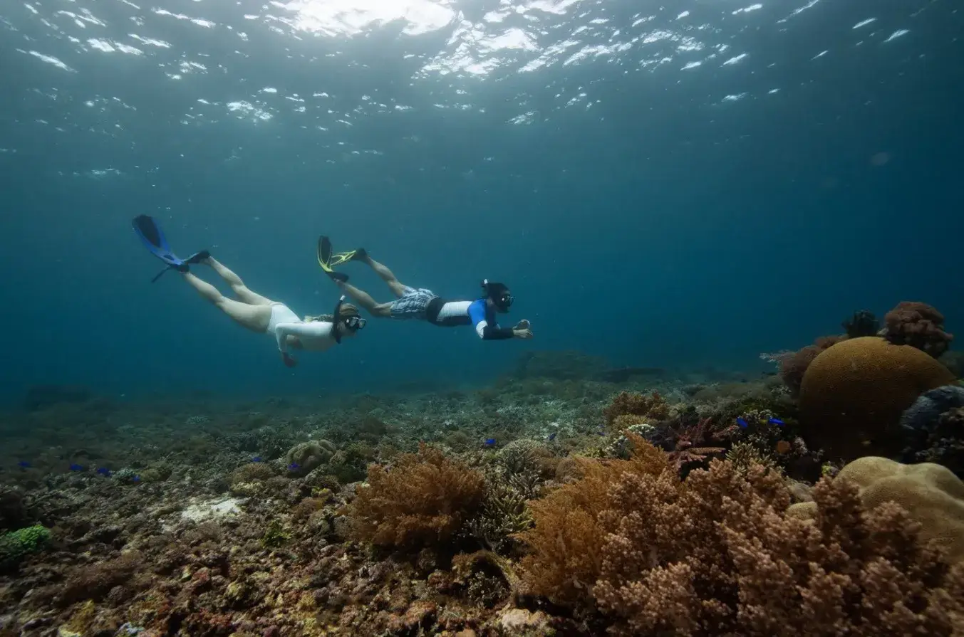 World-Class Dive Sites | Komodo Island Liveaboard