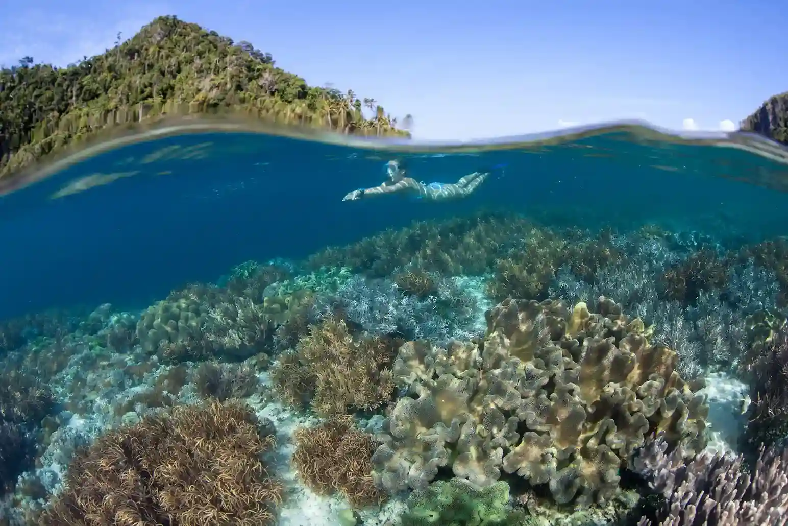 Sebayaru-Island Snorkeling | Komodo Island Liveaboard